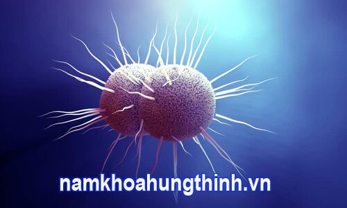 khám bệnh lậu ở đâu