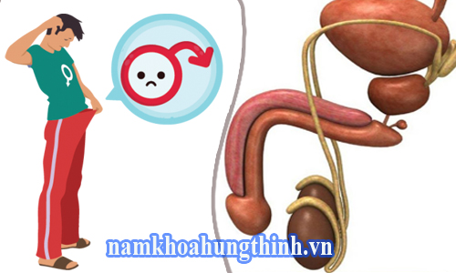khám và chữa rối loạn cương dương ở đâu