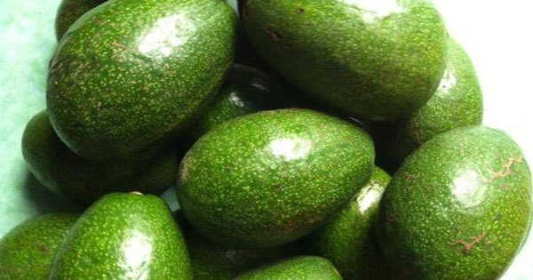 Ăn gì trước khi quan hệ để kéo dài thời gian