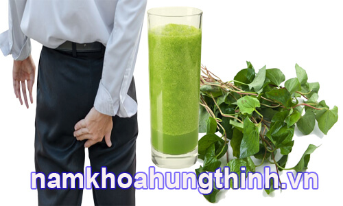 chữa bệnh trĩ bằng rau diếp cá