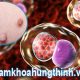 sùi mào gà có nguy hiểm không