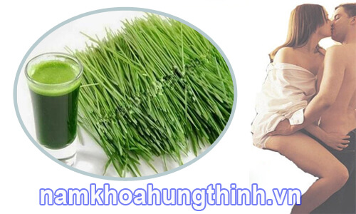 chữa xuất tinh sớm bằng lá hẹ