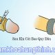 Sau khi cắt bao quy đầu bao lâu thì lành
