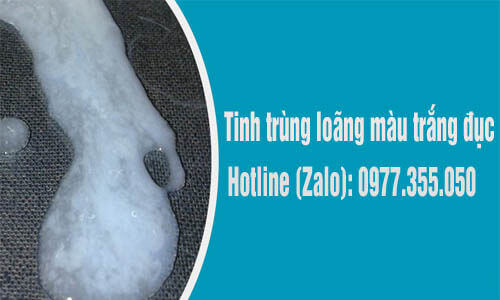 tinh trùng loãng có màu trắng đục