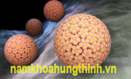 hpv là gì