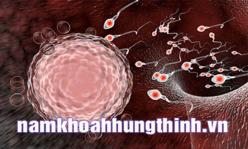 Tinh trùng có màu nâu đỏ có sao không